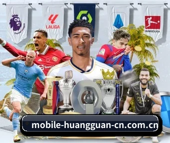 皇冠娱乐 APP